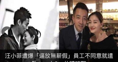 娱乐圈老板吃瓜视频下载